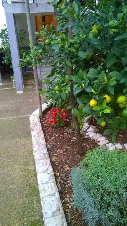 PUY Apartment Anny מראה חיצוני תמונה