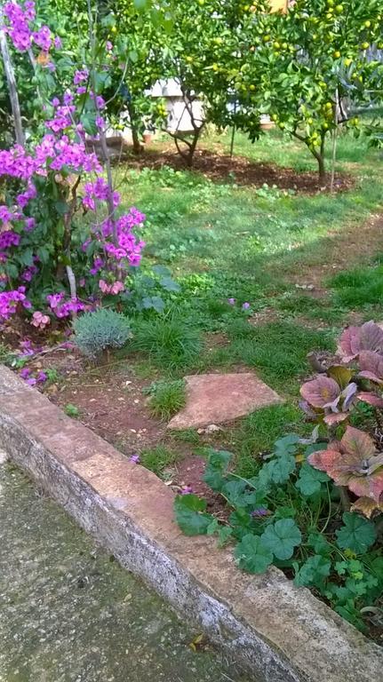 PUY Apartment Anny מראה חיצוני תמונה