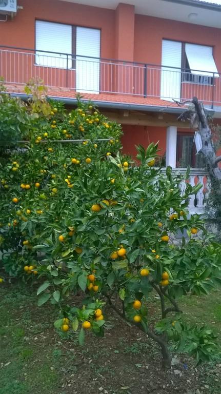 PUY Apartment Anny מראה חיצוני תמונה