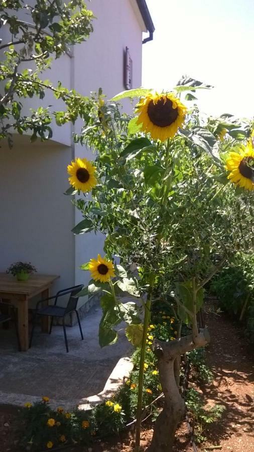 PUY Apartment Anny מראה חיצוני תמונה